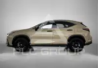 2025 Lexus NX450