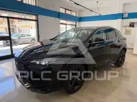 2025 Lexus NX200T