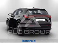 2025 Lexus NX200T