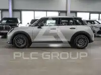 2025 Mini Unknown