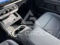 2025 Mini Unknown