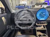 2025 Mini Unknown