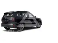 2025 Mini Unknown