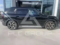 2025 Mini Unknown