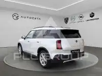2025 Mini Unknown