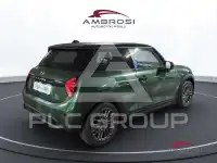2025 Mini 