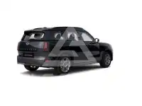 2025 Mini Unknown