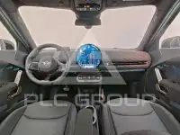 2025 Mini Paceman
