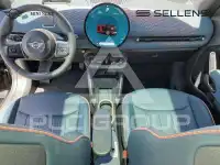 2025 Mini Paceman