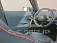 2025 Mini Paceman