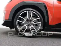 2025 Mini Paceman