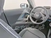 2025 Mini Paceman