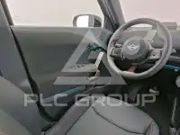 2025 Mini Paceman