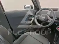 2025 Mini Paceman