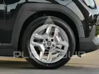 2025 Mini Paceman