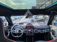 2025 Mini Paceman