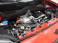2025 Mini Paceman