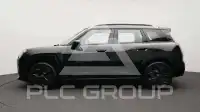 2025 Mini Paceman