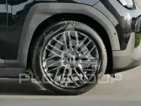 2025 Mini Paceman
