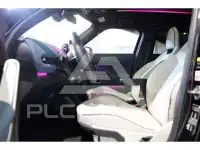 2025 Mini Paceman