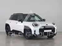 2025 Mini Paceman