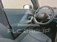 2025 Mini Paceman