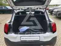 2025 Mini Paceman