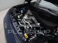 2025 Mini Paceman