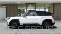 2026 Mini Paceman