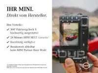 2025 Mini Paceman
