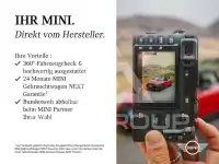 2025 Mini Paceman