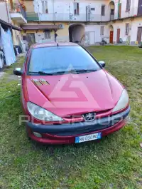 2025 Peugeot 206