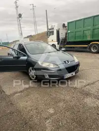 2025 Peugeot 407