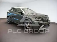 2025 Citroen Unknown