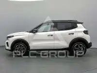 2025 Citroen C3