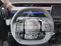 2025 Citroen C3