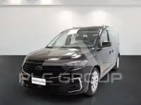 2025 Ford Tourneo