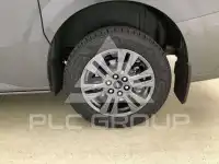 2025 Ford Tourneo