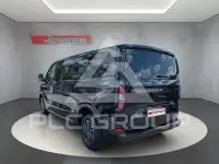 2025 Ford Tourneo