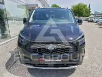 2025 Ford Tourneo