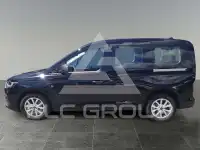2025 Ford Tourneo