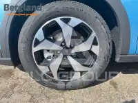 2025 Ford Tourneo