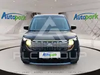 2025 Ford Tourneo
