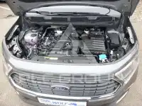 2025 Ford Tourneo