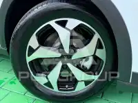 2025 Ford Tourneo