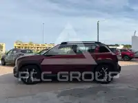 2025 Renault R 4