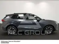 2025 Seat Terra