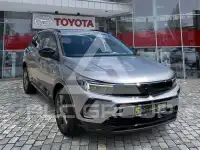 2025 Opel GrandlandX