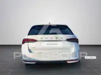 2026 Skoda Octavia