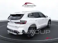 2026 BMW iX
